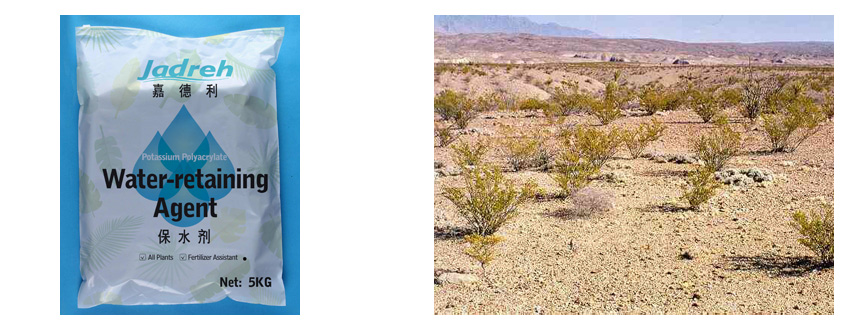 沙漠保水剂